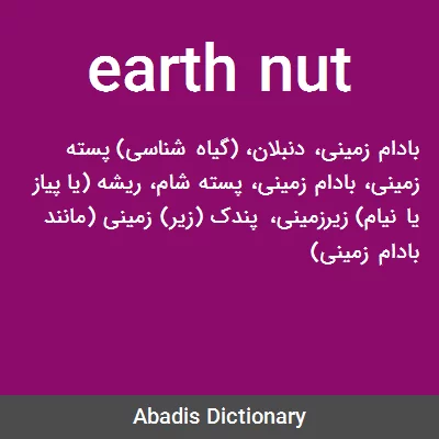 معنی earth nut